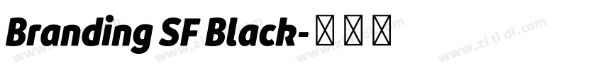Branding SF Black字体转换